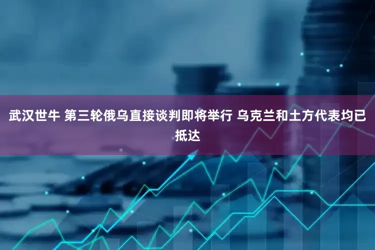 武汉世牛 第三轮俄乌直接谈判即将举行 乌克兰和土方代表均已抵达